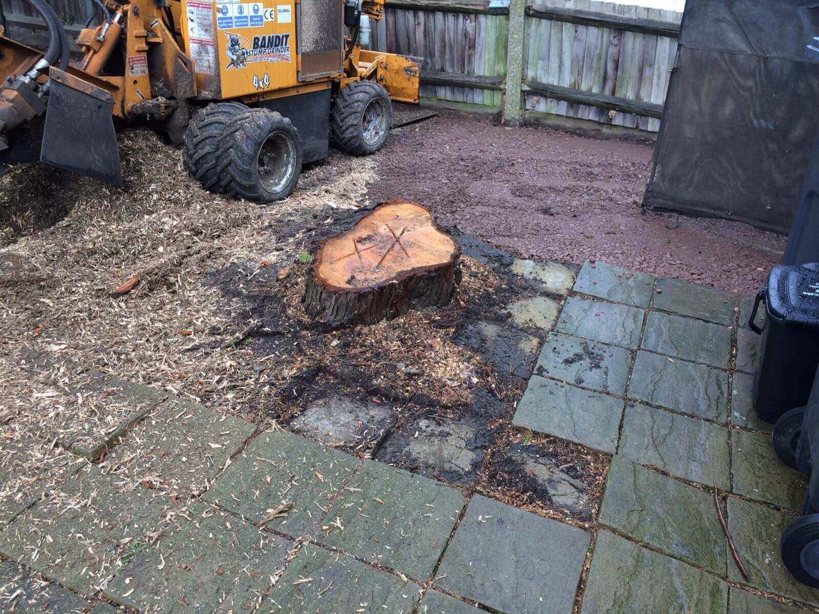 Tree Surgeons Raynes Park SW20